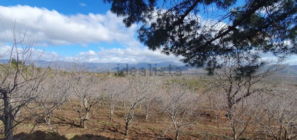 casale in vendita a Castiglione di Sicilia