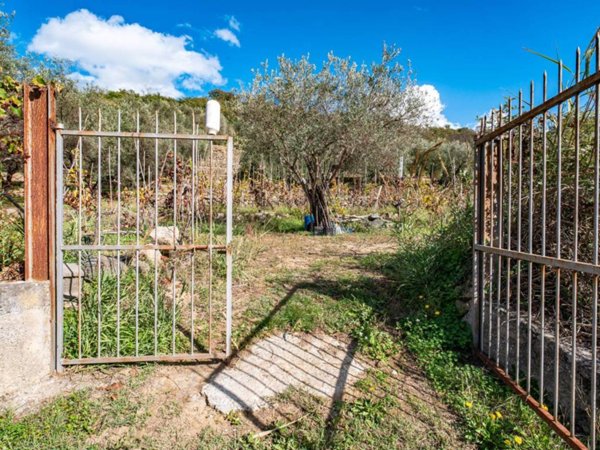 terreno in vendita a Castiglione di Sicilia