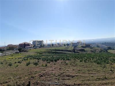 terreno agricolo in vendita a Catania