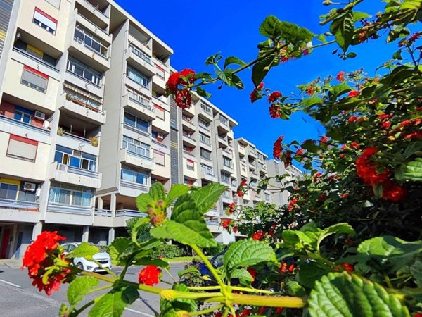 appartamento in vendita a Catania in zona Zona Industriale