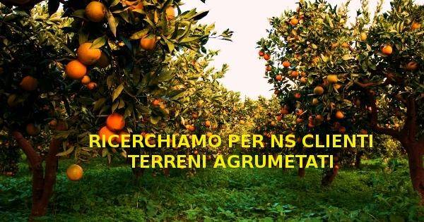 terreno agricolo in vendita a Catania