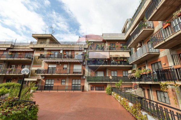 appartamento in vendita a Catania in zona Canalicchio