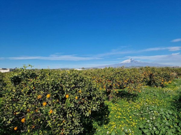terreno agricolo in vendita a Catania in zona Zona Industriale