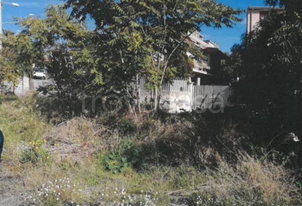 terreno agricolo in vendita a Catania
