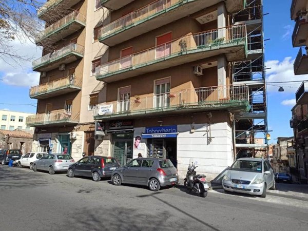 immagine annuncio 0 di 15