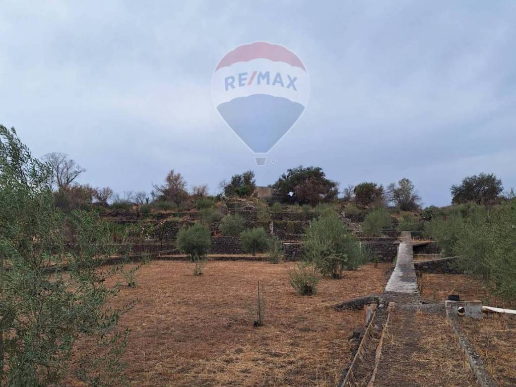 terreno agricolo in vendita a Catania in zona Trappeto