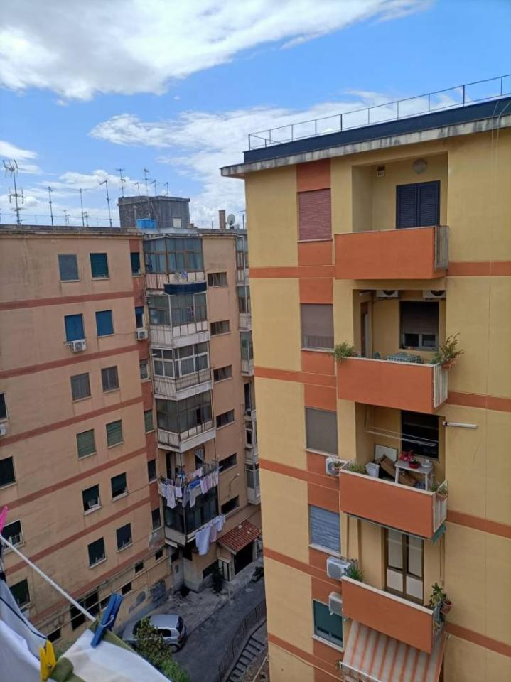appartamento in vendita a Catania