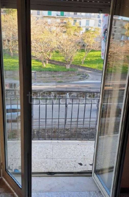 appartamento in vendita a Catania