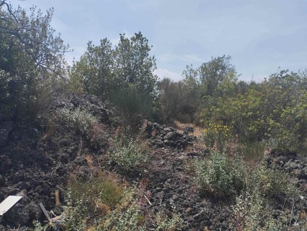 terreno agricolo in vendita a Catania in zona Trappeto