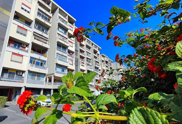 appartamento in vendita a Catania