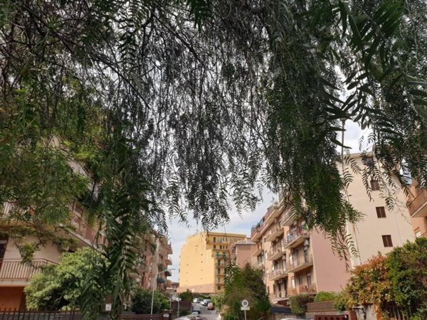 appartamento in vendita a Catania in zona Canalicchio
