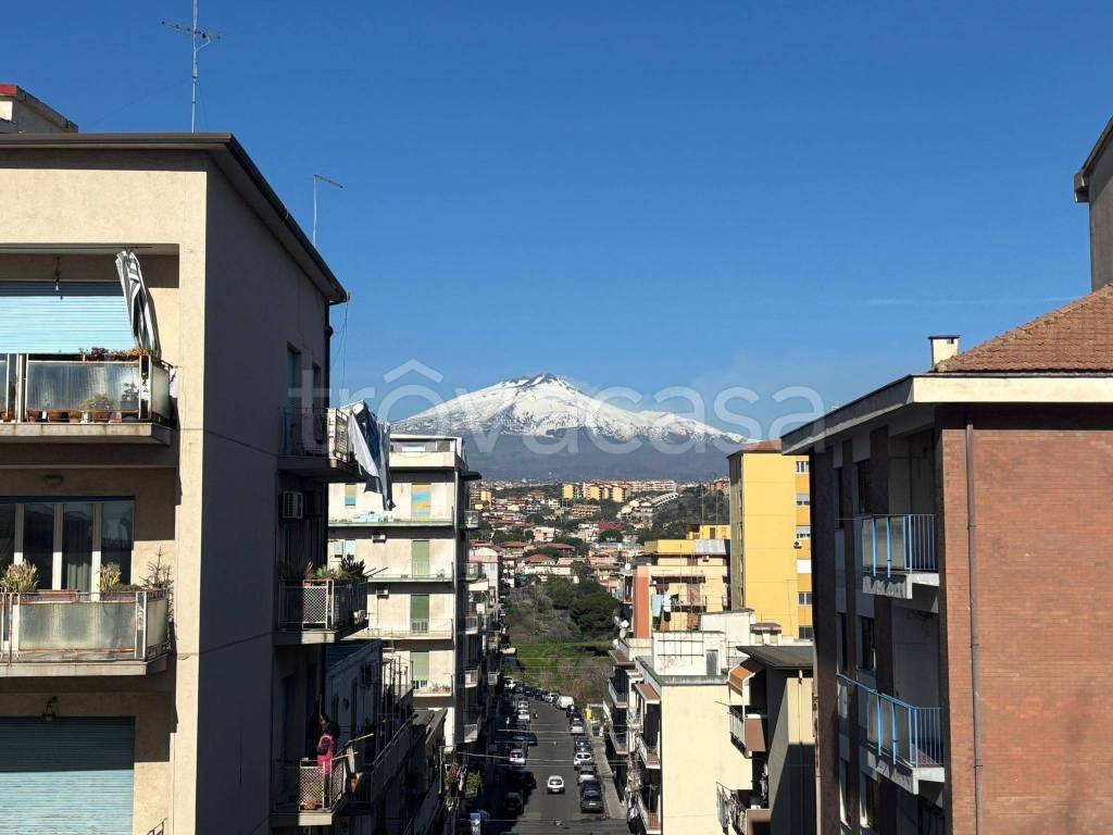 appartamento in vendita a Catania