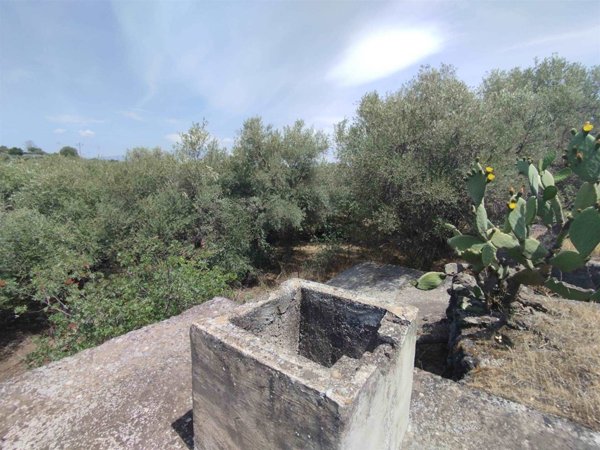 terreno agricolo in vendita a Catania in zona Trappeto