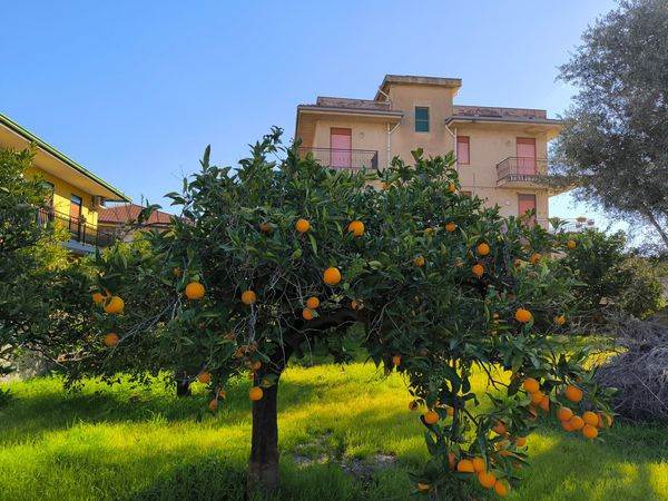appartamento in vendita a Catania