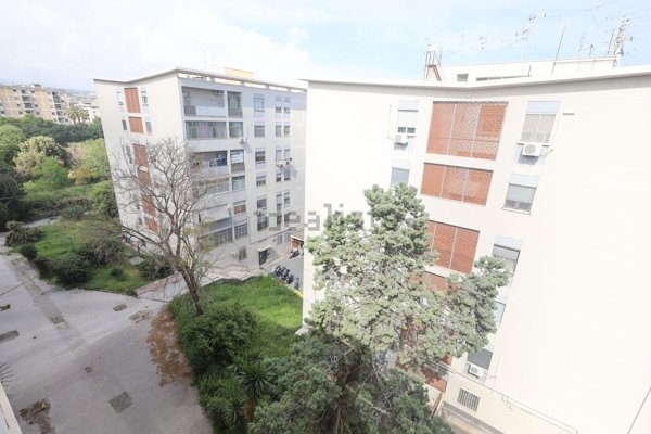 appartamento in vendita a Catania