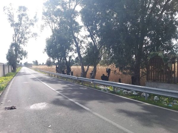 terreno agricolo in vendita a Catania in zona San Giuseppe la Rena
