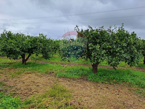 casa indipendente in vendita a Catania in zona Fontanarossa