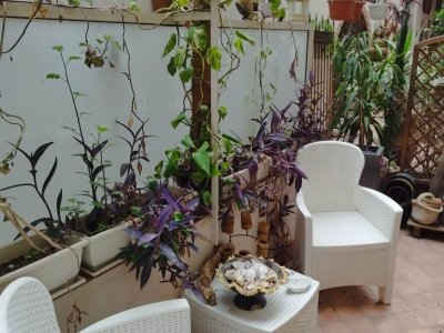 negozio in vendita a Catania