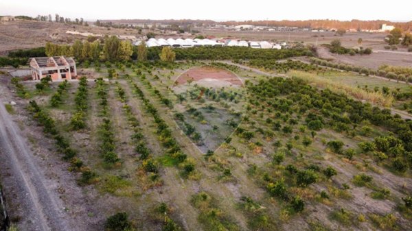 terreno agricolo in vendita a Catania in zona Fontanarossa