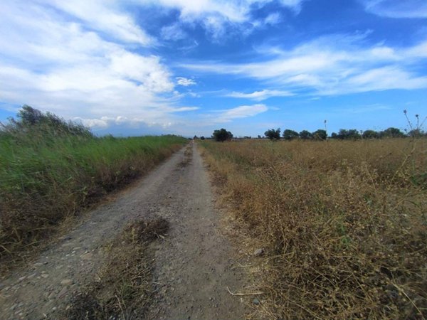 terreno agricolo in vendita a Catania in zona Fontanarossa