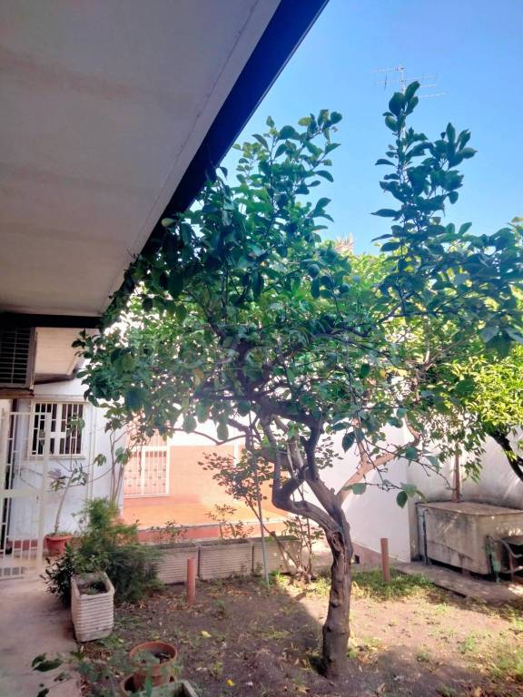 casa indipendente in vendita a Catania