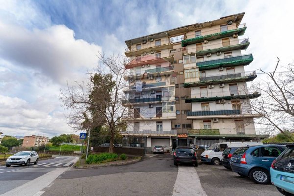 appartamento in vendita a Catania