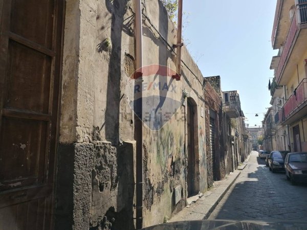 esavano in vendita a Catania