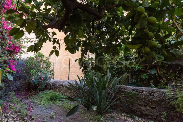 casa indipendente in vendita a Catania