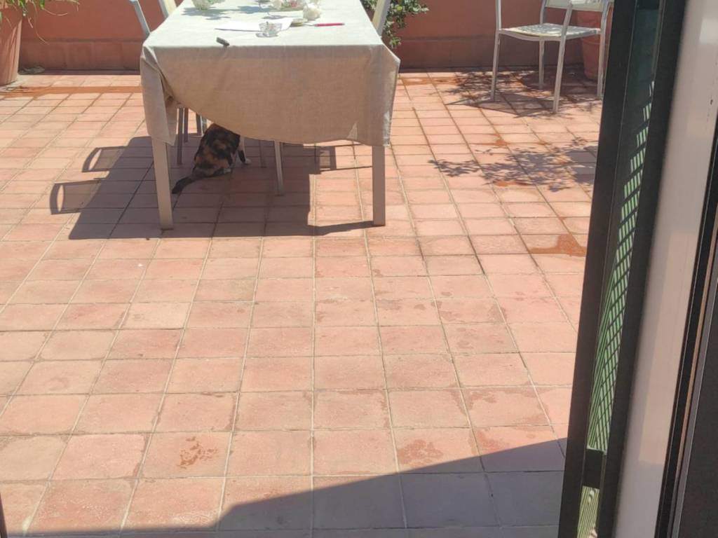 appartamento in vendita a Catania in zona Picanello