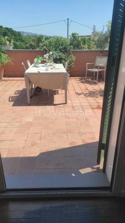 appartamento in vendita a Catania in zona Picanello