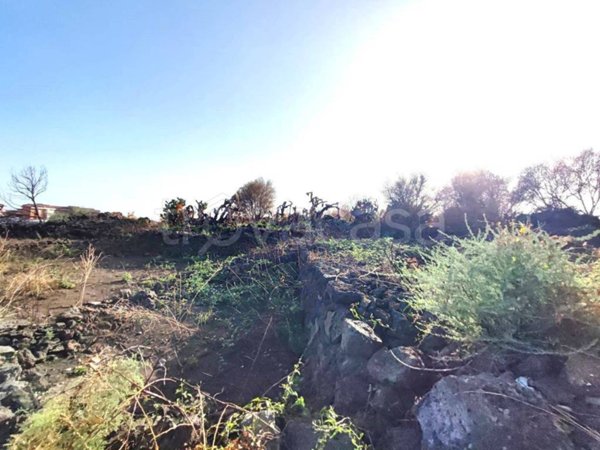 terreno agricolo in vendita a Catania