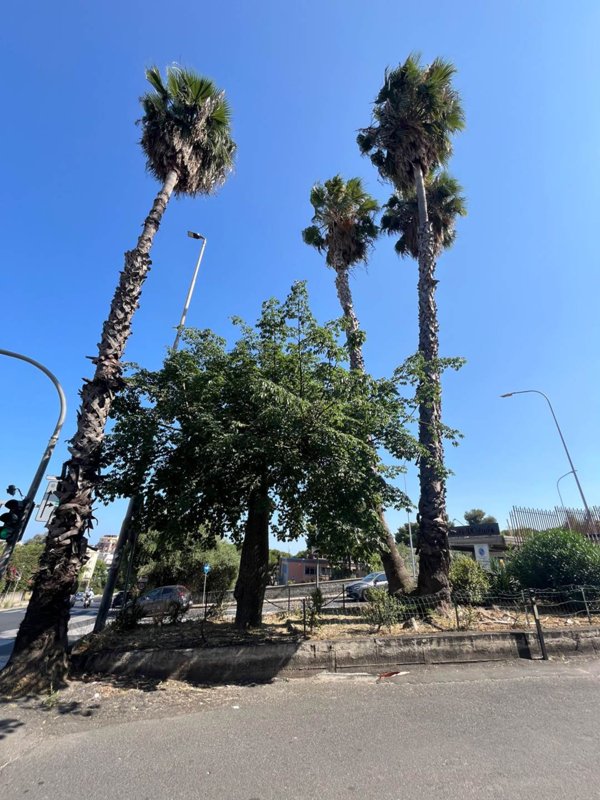 appartamento in vendita a Catania