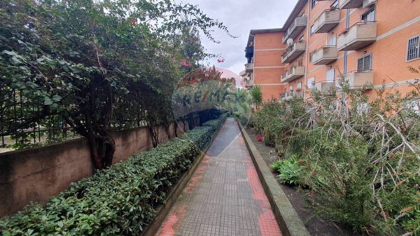 appartamento in vendita a Catania in zona San Nullo