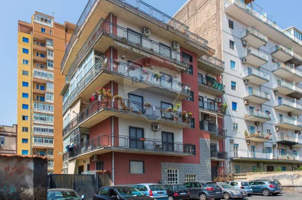 appartamento in vendita a Catania in zona Picanello