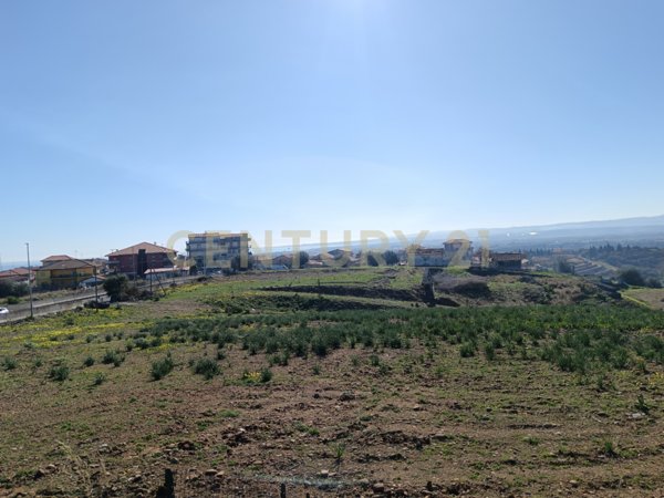 azienda agricola in vendita a Catania