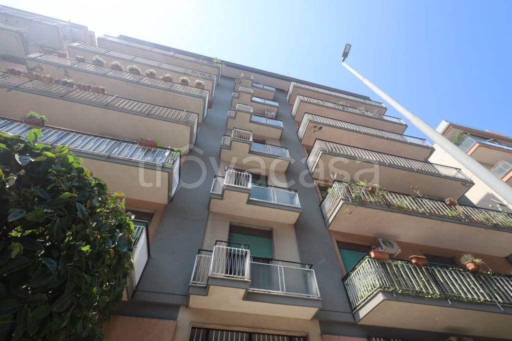 appartamento in vendita a Catania