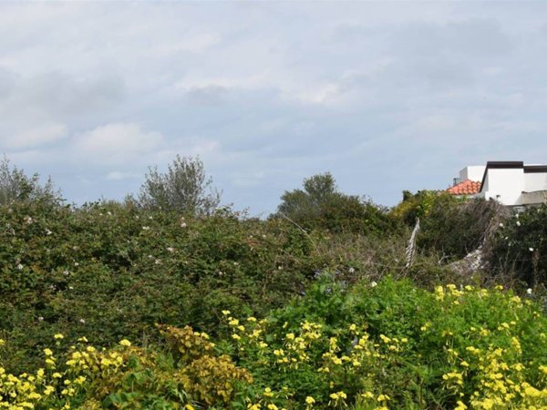 terreno agricolo in vendita a Catania in zona Fontanarossa