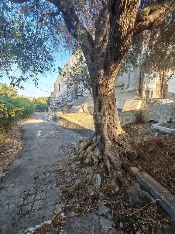appartamento in vendita a Catania in zona Librino