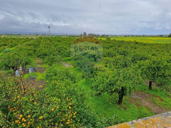 casa indipendente in vendita a Catania in zona Fontanarossa