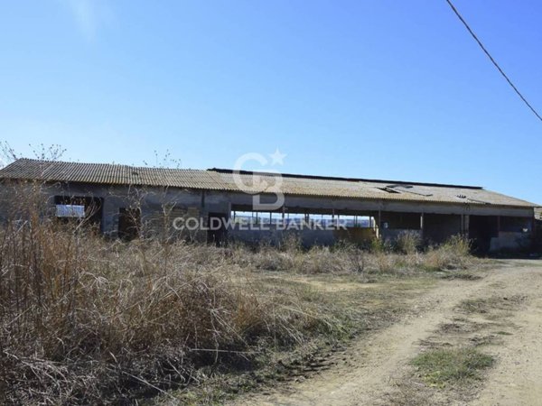 negozio in vendita a Catania in zona Librino