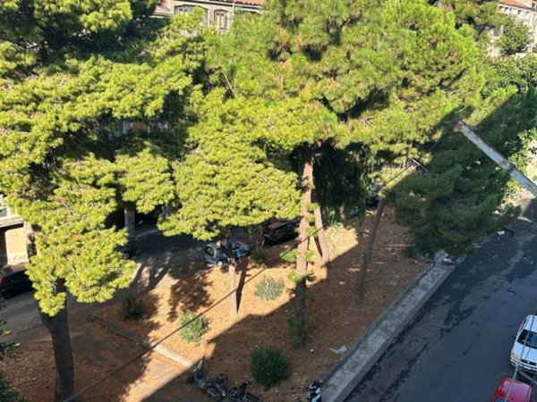 appartamento in vendita a Catania in zona Zona Industriale