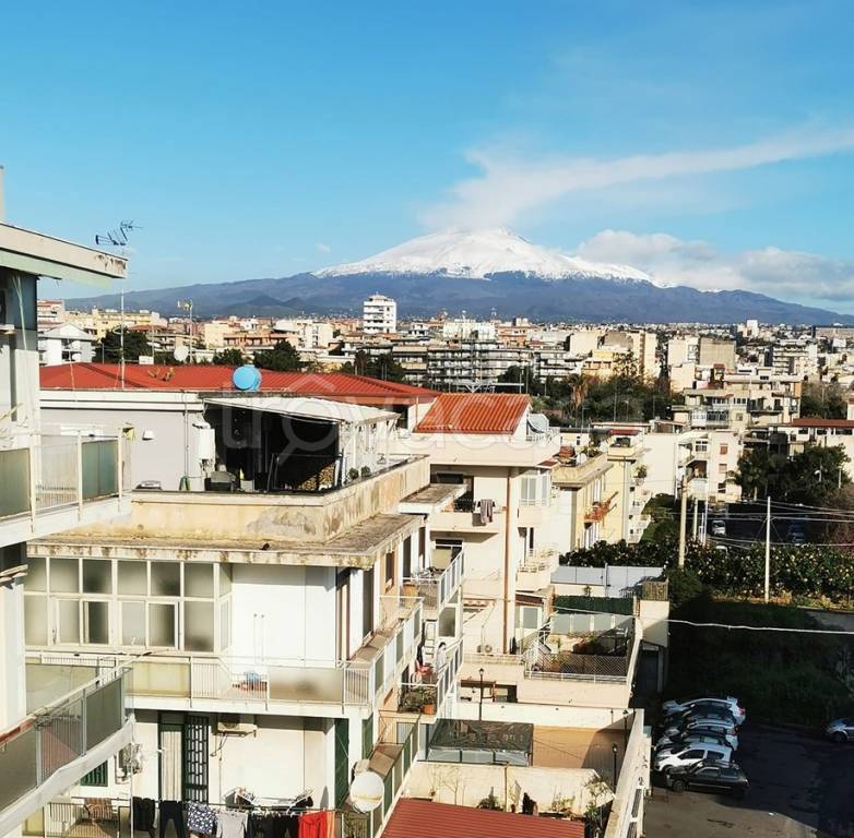 appartamento in vendita a Catania