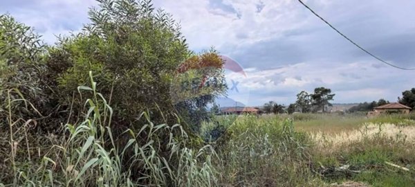 terreno agricolo in vendita a Catania in zona Fontanarossa