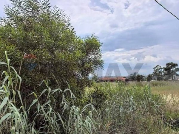 terreno agricolo in vendita a Catania in zona Villaggio Delfino-Vaccarizzo