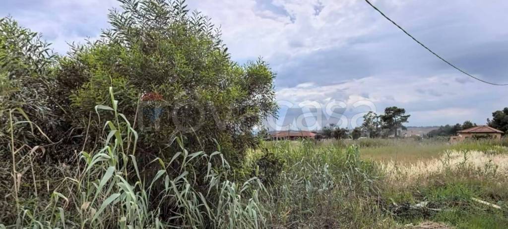 terreno agricolo in vendita a Catania in zona Villaggio Delfino-Vaccarizzo
