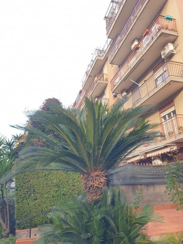 appartamento in vendita a Catania