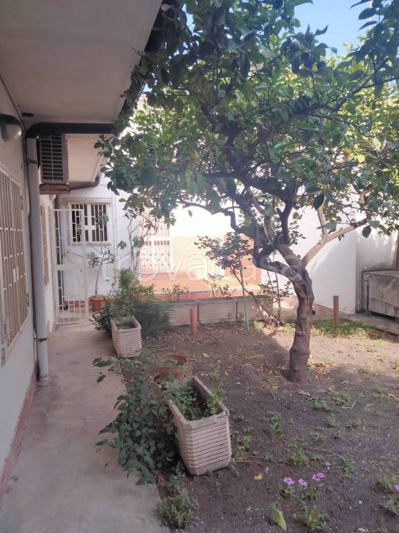 casa indipendente in vendita a Catania