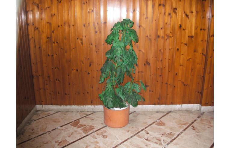 appartamento in vendita a Catania in zona Ognina