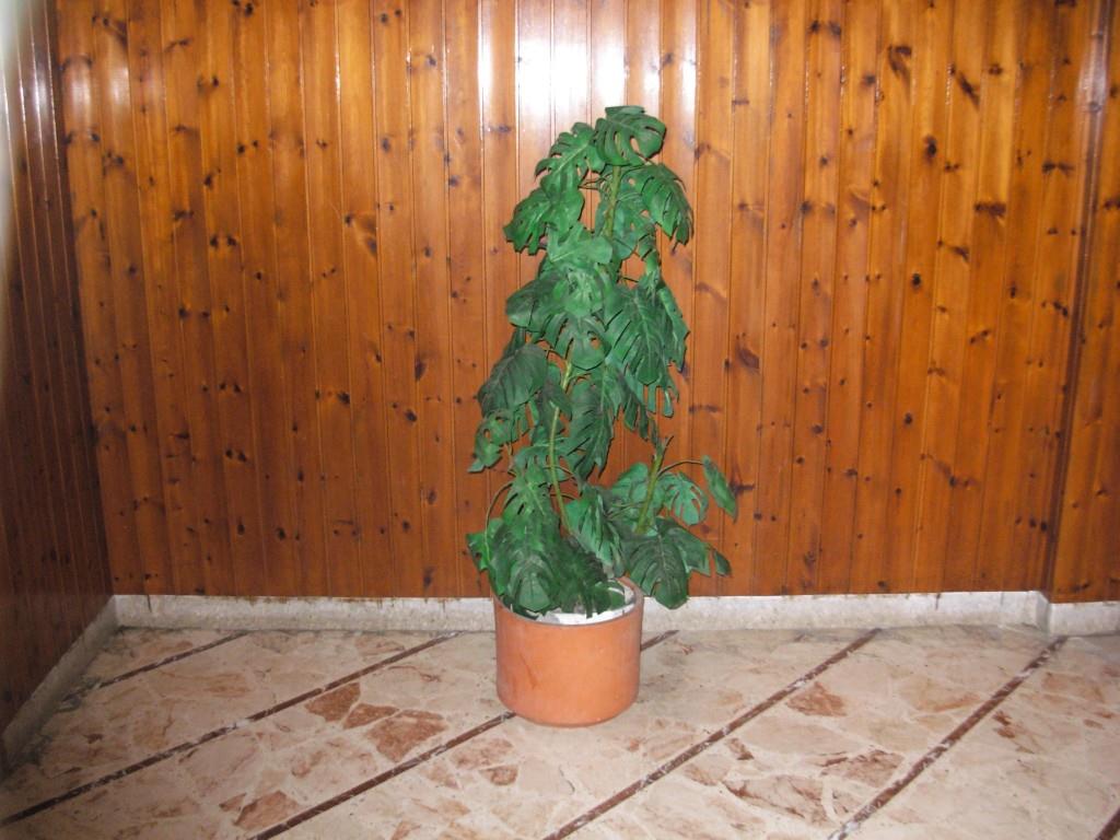 appartamento in vendita a Catania in zona Ognina