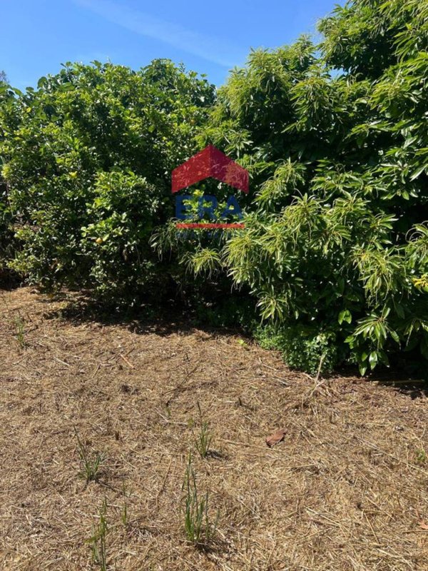 terreno agricolo in vendita a Catania in zona Centro Storico